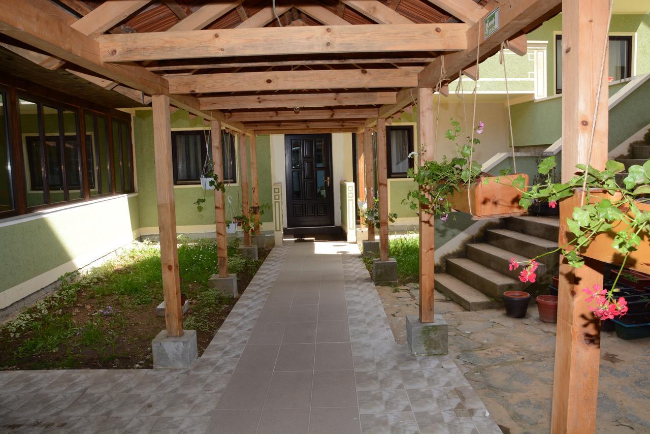 Mm Narcis Bed & Breakfast Vlasina Rid Ngoại thất bức ảnh